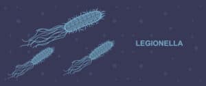come prevenire la legionella