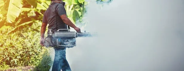 disinfestare è essenziale per combattere la dengue