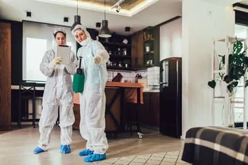 ditta disinfestazione zanzare in provincia di roma