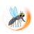 foto demo zanzara