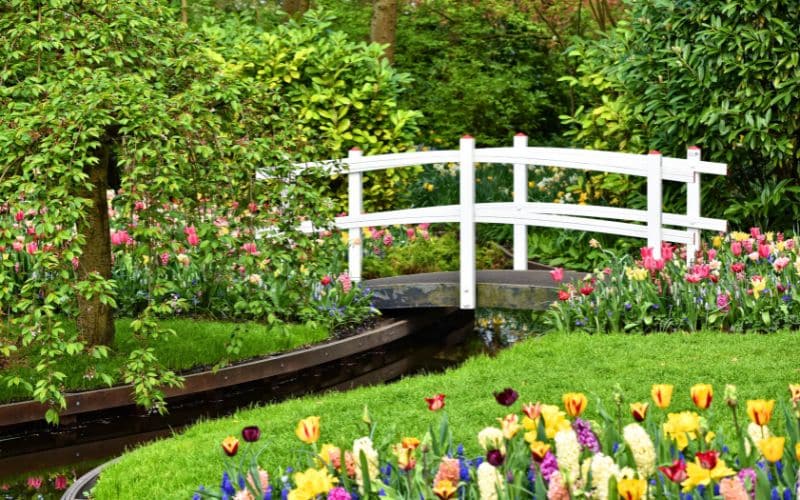 realizzazione e progettazione giardini roma