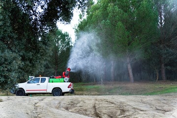 foto metodo di disinfestazione processionaria del pino