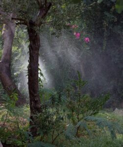 irrigazione parchi pubblici