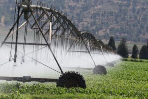sistema di irrigazione per agricoltura
