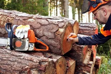 taglio alberi professionale